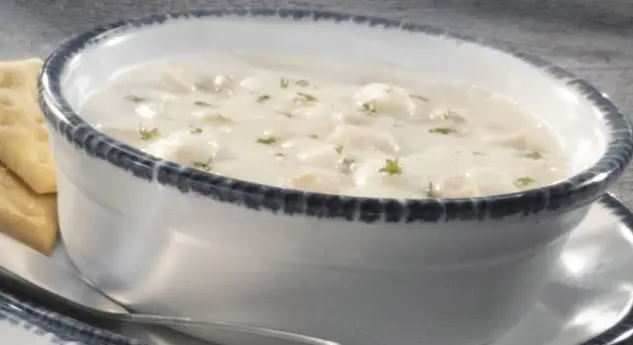 New England Clam Chowder - Cup